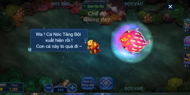 chi-tiet-huong-dan-choi-ban-ca-soco88-cho-nguoi-moi