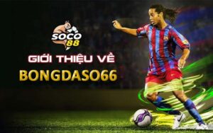 bong-da-so-66-soco88