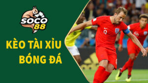 keo-tai-xiu-bong-da