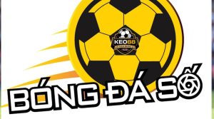 bong-da-so-soco88