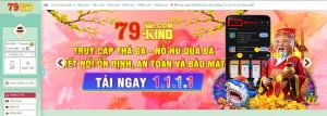 Giới thiệu về các điều khoản của 79king