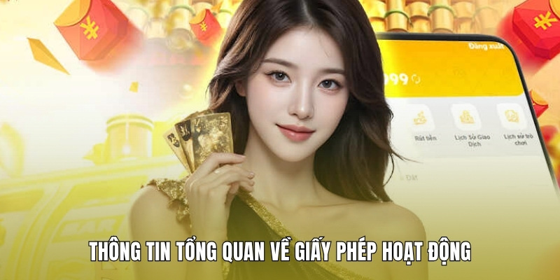 thong-tin-tong-quan-ve-giay-phep-hoat-dong