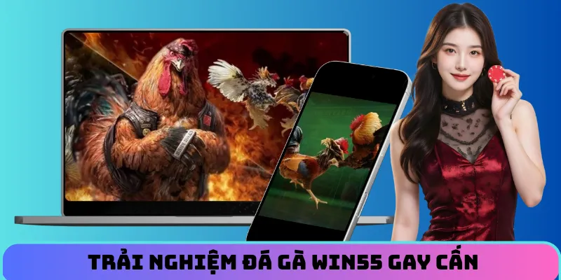 trai-nghiem-da-ga-win55-gay-can