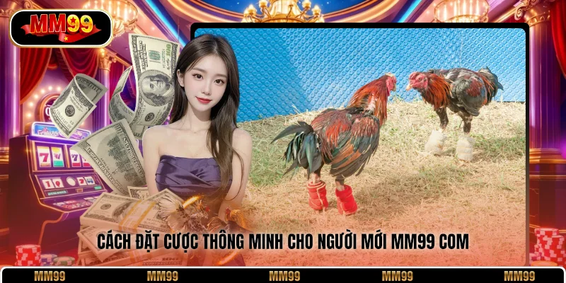 Cách đặt cược thông minh cho người mới MM99 Com